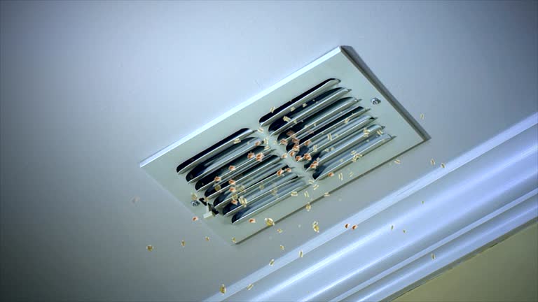 Best Air Vent Cleaning Services  in Lutz, FL