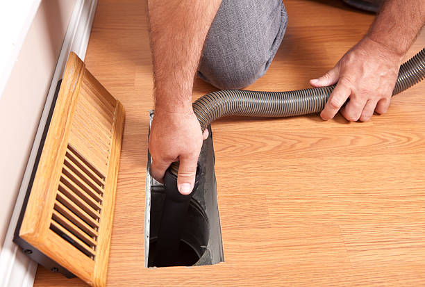 Best Ductwork Cleaning Services  in Lutz, FL