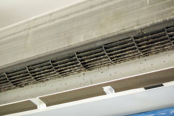 Best Commercial Air Duct Cleaning  in Lutz, FL