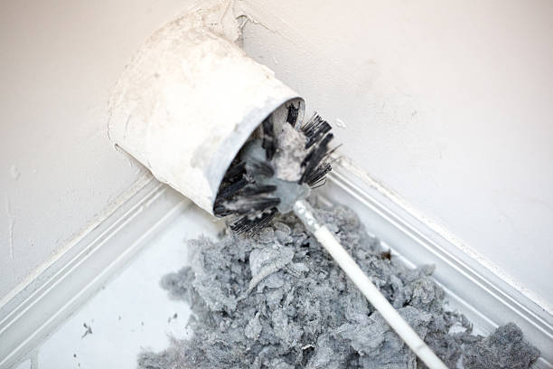 Best Affordable HVAC Duct Cleaning  in Lutz, FL